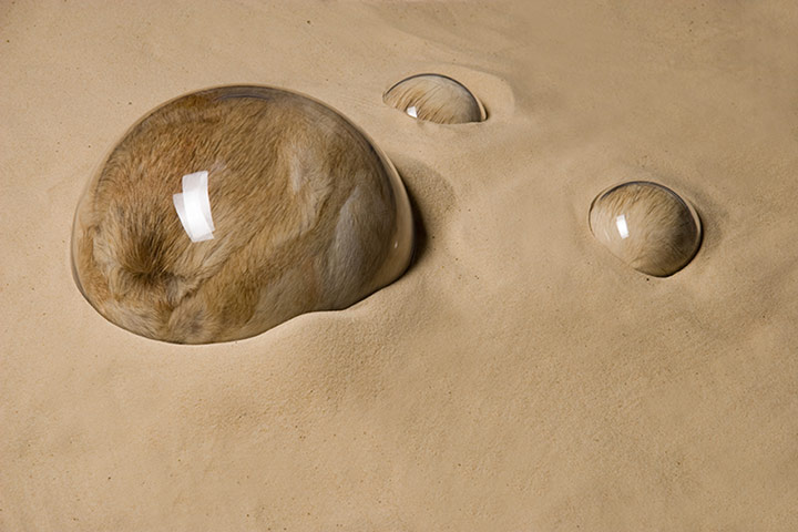 Catlin Guide to Artists: Catlin Guide to most Promising Graduate Artists - Adeline de Monseignat