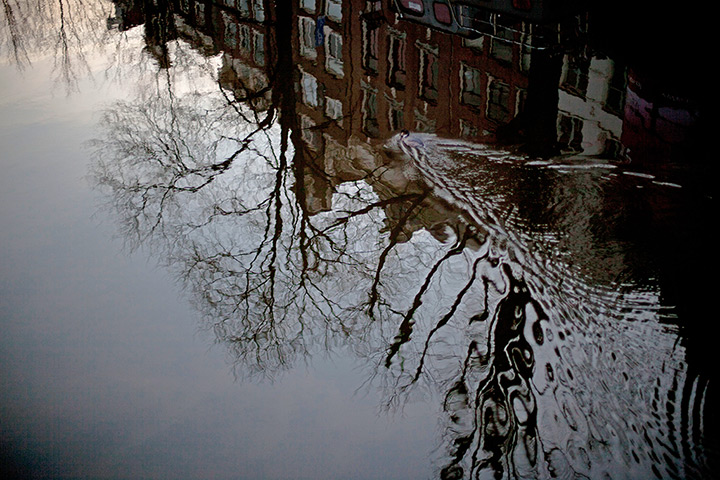 24 hours in pictures: Amsterdam, Netherlands: A bird swims in Herengracht canal