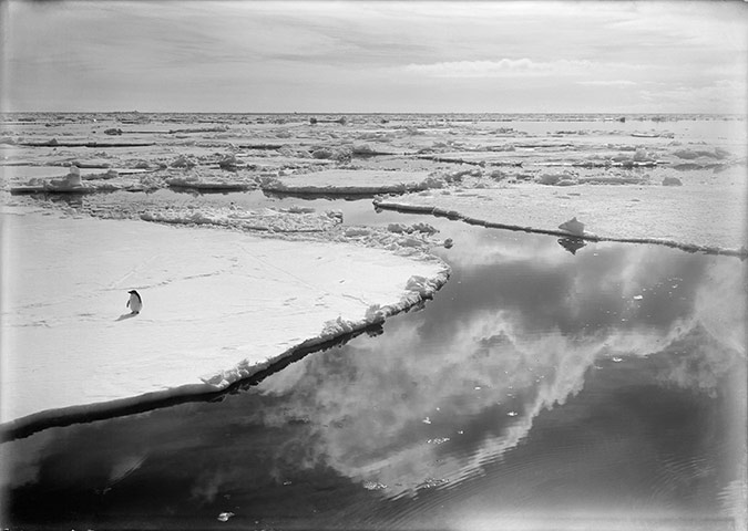 south pole expeditions: One of  Herbert Ponting's famous Antarctic images 