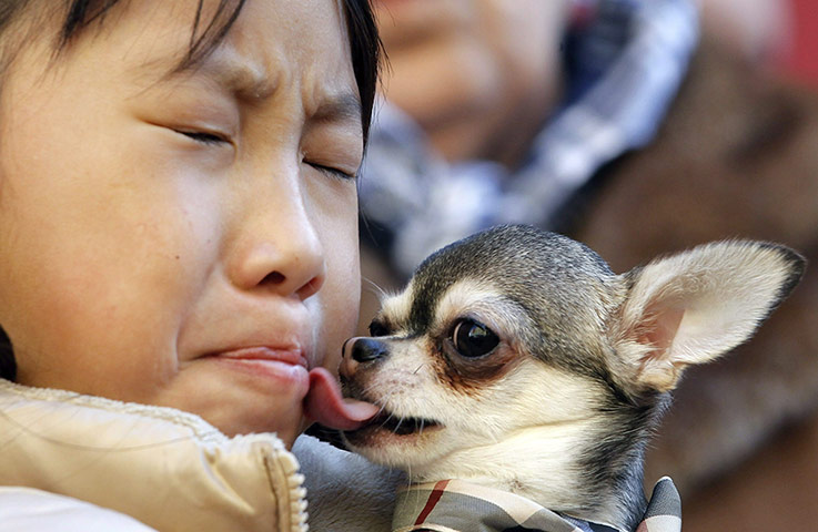 Saint Anthony day : Saint Anthony's day pet blessings