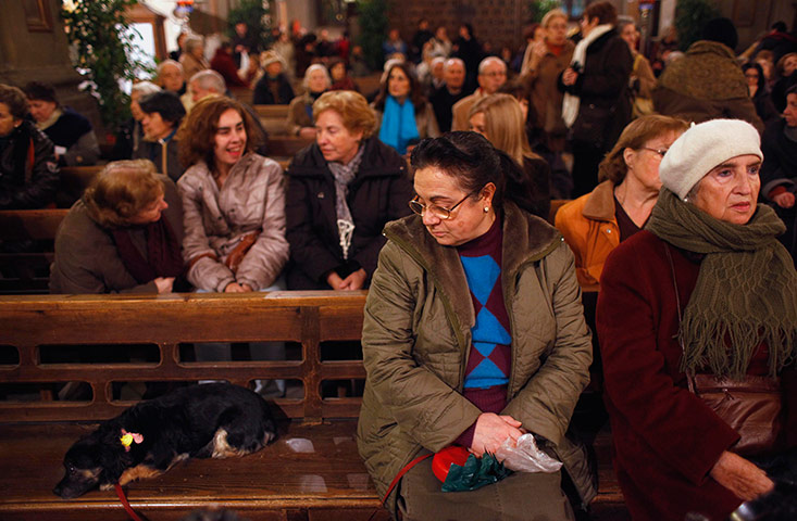 Saint Anthony day : Saint Anthony's day pet blessings