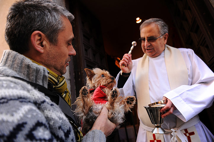Saint Anthony day : Saint Anthony's day pet blessings