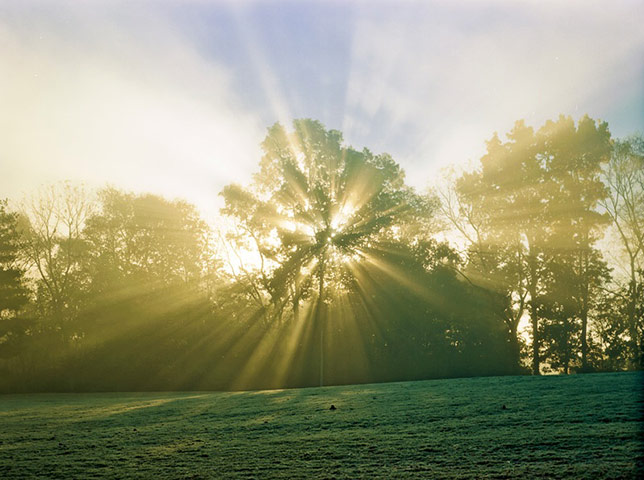 Kodak moments: I shoot Kodak Portra 160VC through a 1975 Mamiya M645 camera