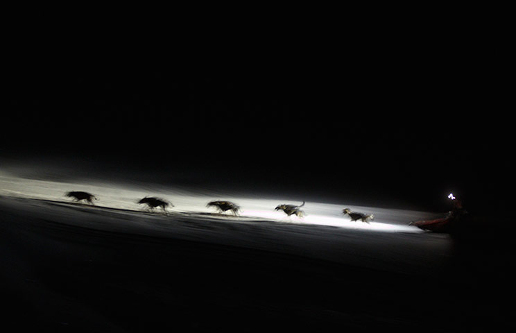 Best of the week: A musher and his dogs compete in the La Grande Odyssee sled dogs race