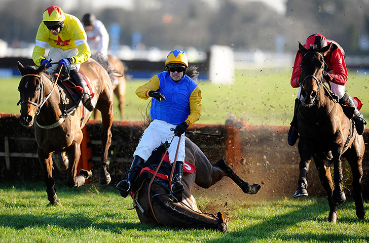 Best of the week: Sam Thomas riding Captain Sunshine falls at the last at Kempton