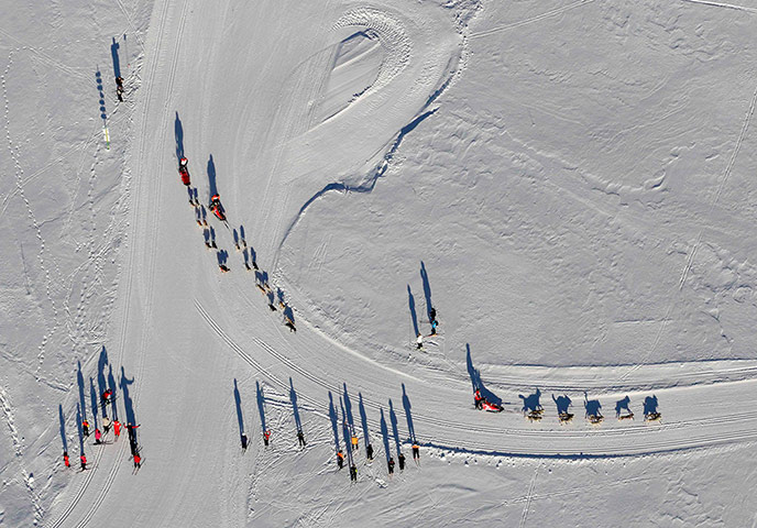 Best of the week: Mushers and their dogs compete in the La Grande Odyssee sled dogs race