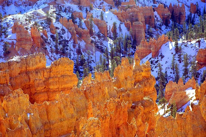 Your Kodak moments: Bryce Canon, Utah, US