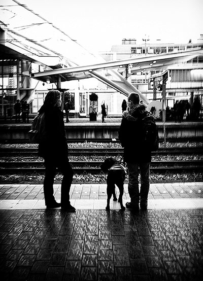 Guardian Camera Club: A review of Daan L's portfolio