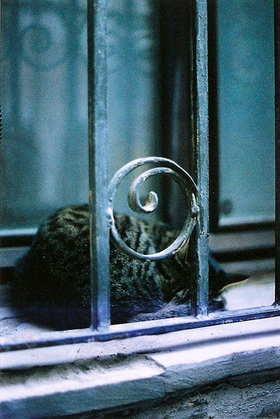 Guardian Camera Club: A review of Lizzie Hennessy Jones' portfolio