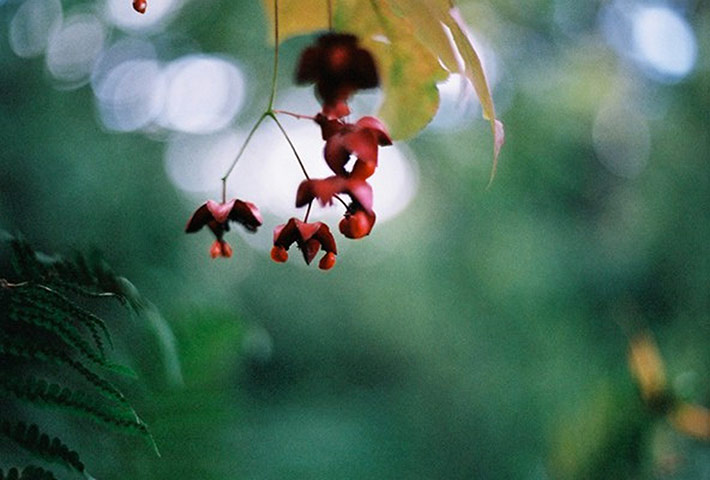 Guardian Camera Club: A review of Lizzie Hennessy Jones' portfolio