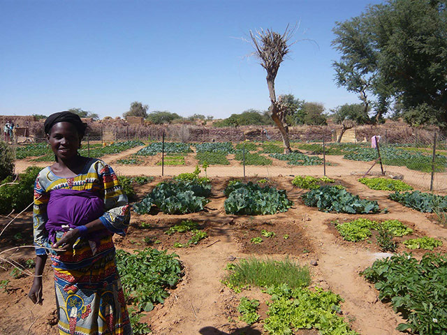 Food security in Niger