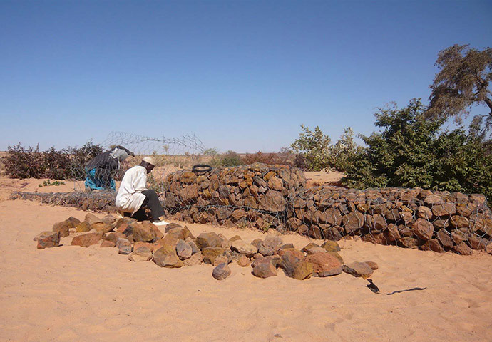 Food security in Niger