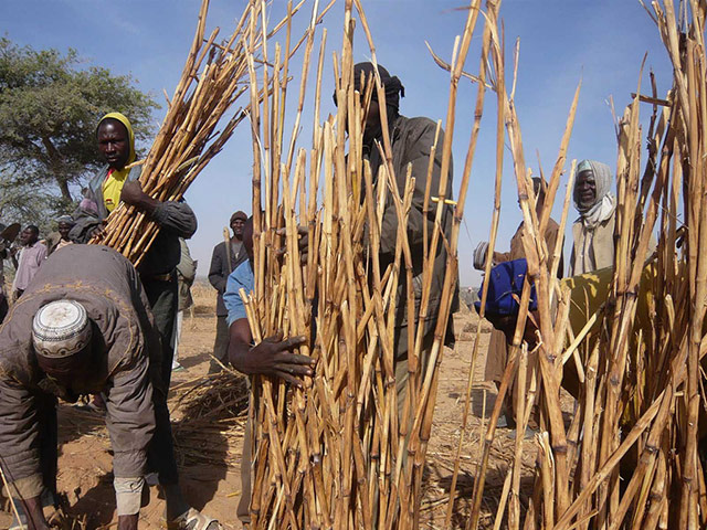 Food security in Niger