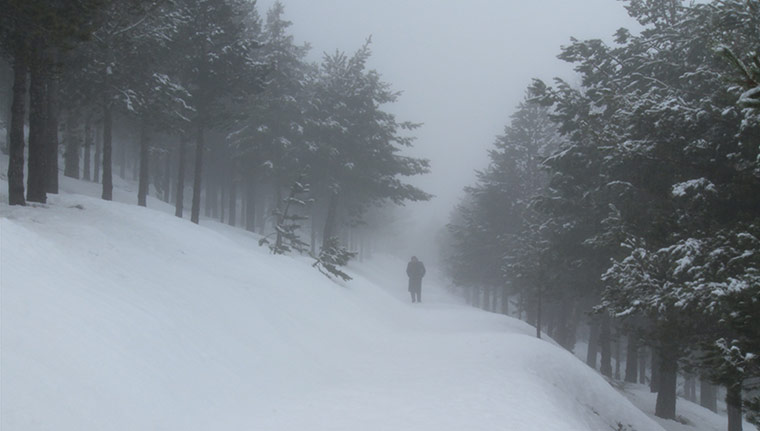 Ori Gersht: Soundand Snow by Ori Gersht