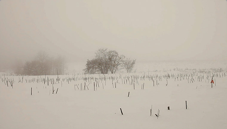 Ori Gersht: Will You Dance? by Ori Gersht