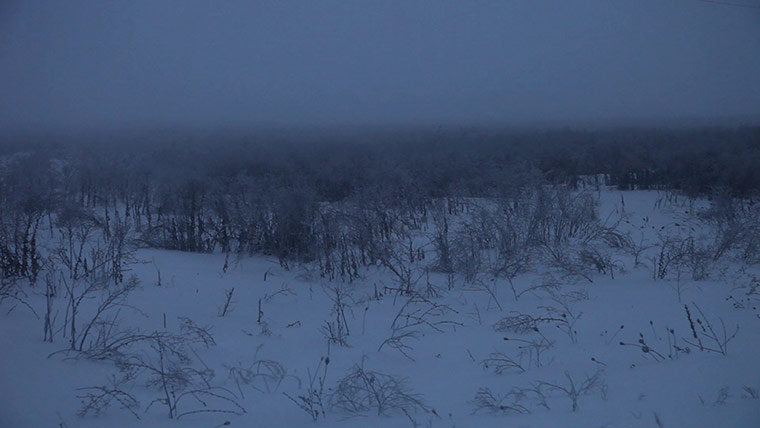 Ori Gersht: Will You Dance? by Ori Gersht