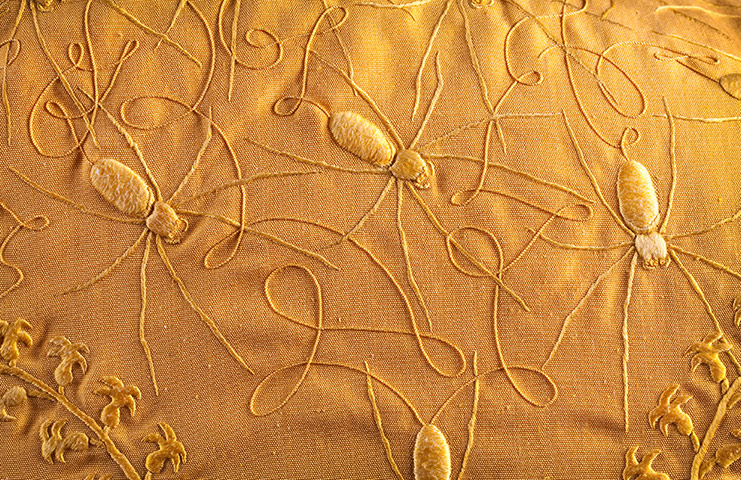 Spider cape: Detail of spide cape