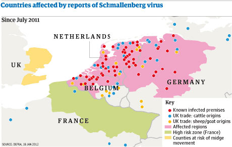 Countries-affected-by-Sch-001.jpg