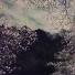 Ori Gersht 2: After Midnight