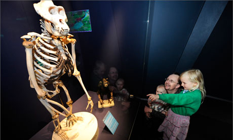 Weston Park Museum in Sheffield