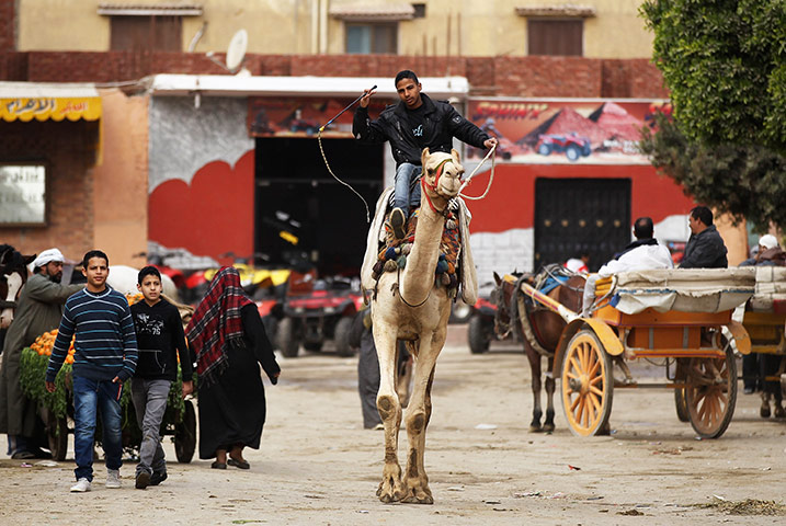 Cairo one year on : A young man rides a camel in the Sphinx village in Cairo
