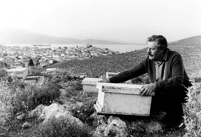 Theo Angelopoulos: Theo Angelopoulos has died - The Beekeeper
