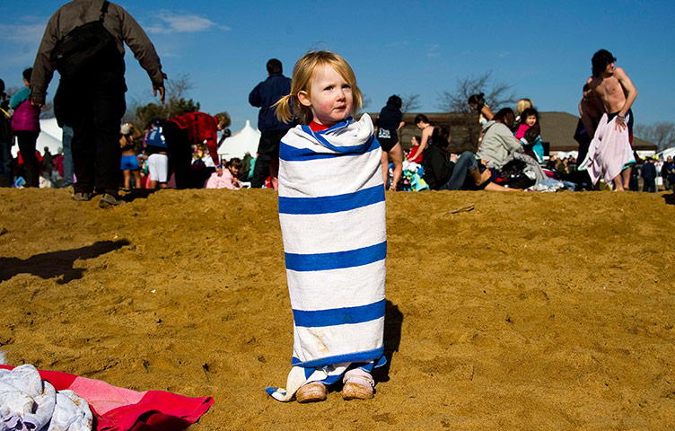 Annual Polar Bear Plunge: Annual Polar Bear Plunge