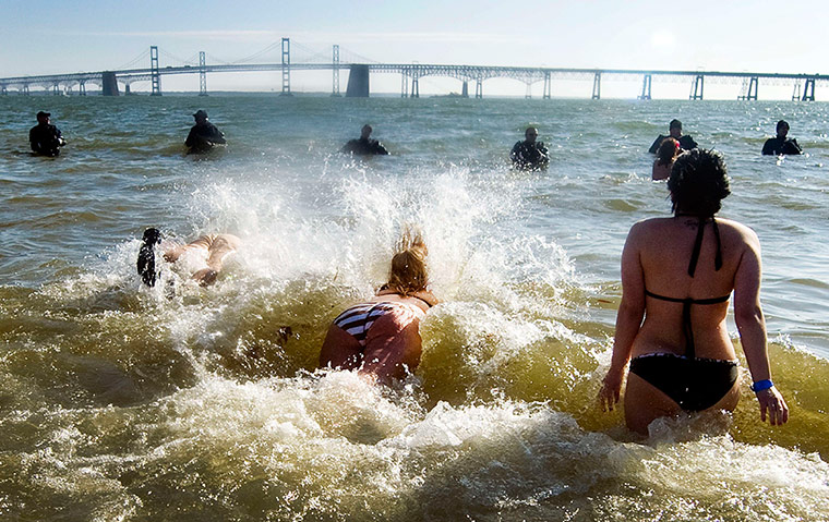 Annual Polar Bear Plunge: Annual Polar Bear Plunge