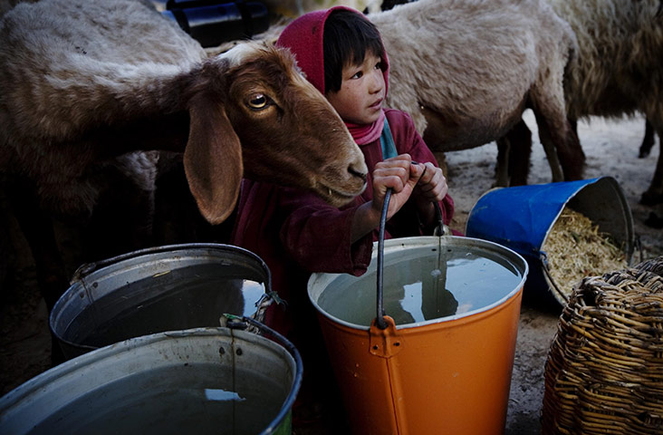MEDAIR: Water and Sanitation ( WASH ) in the province of Bamyan Afghanistan