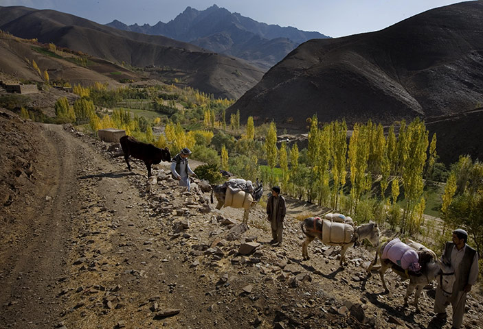 MEDAIR: Water and Sanitation ( WASH ) in the province of Bamyan Afghanistan