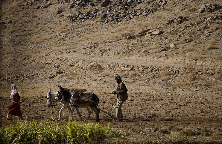 MEDAIR: Water and Sanitation ( WASH ) in the province of Bamyan Afghanistan