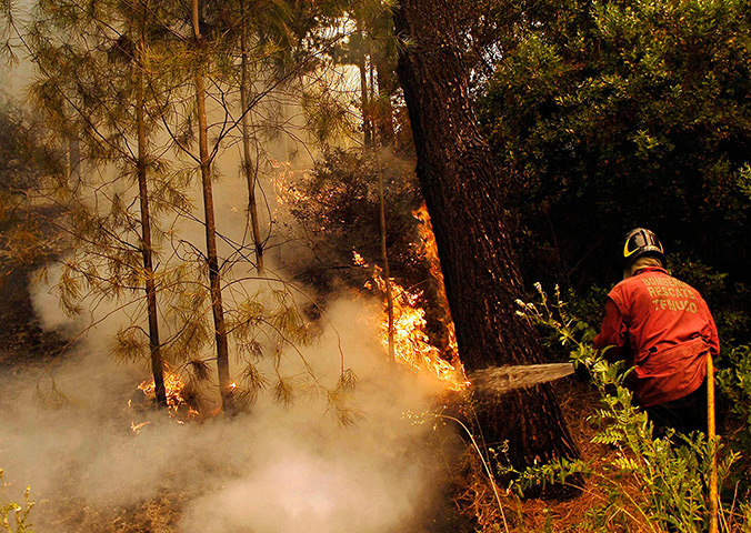 Forest fires in Chile: A firefighter works to put out a forest fire near Concepcion city