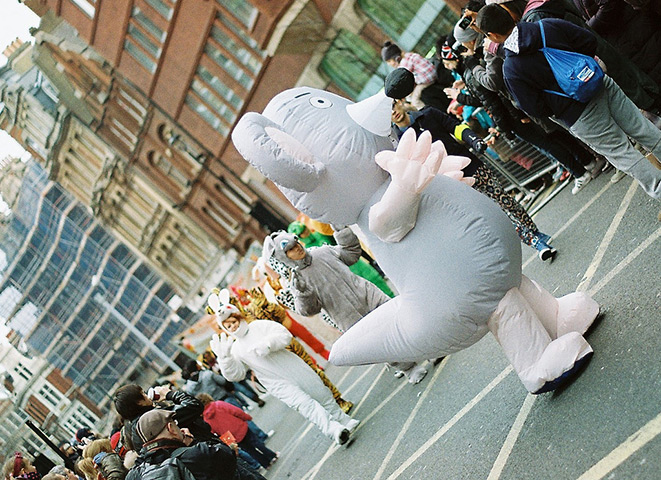 juifei assignment: The chinese zodiac signs