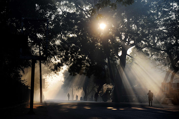 24 hours in pictures: A school boy walks in  Delhi