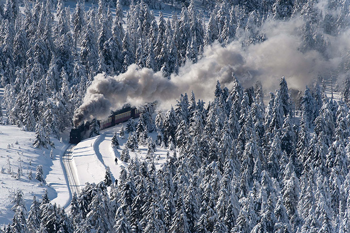 World weather: Snow covered forest at the Harz national park near Schierke, Germany