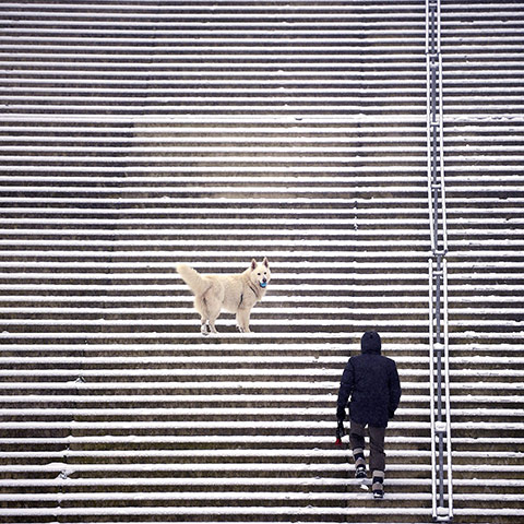 World weather: Man and his dog climb up steps covered with snow, Utrecht, The Netherlands
