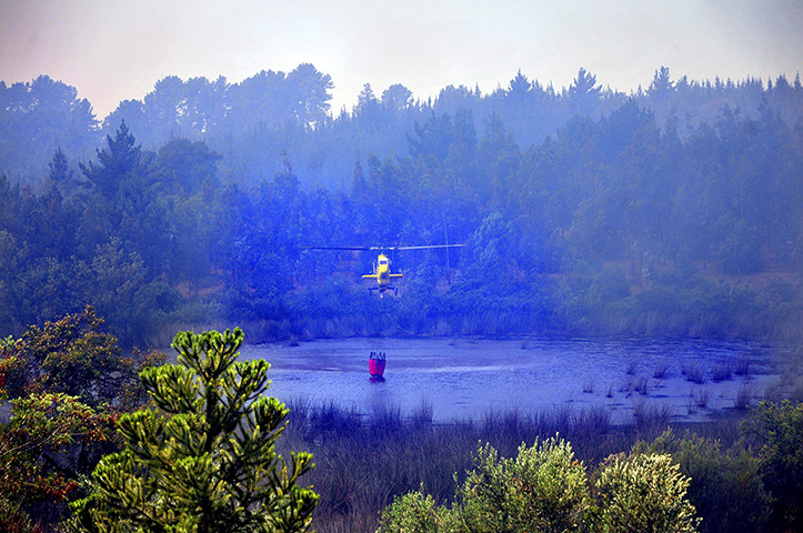 Chile forest fire: Helicopter collecting water around Quillon