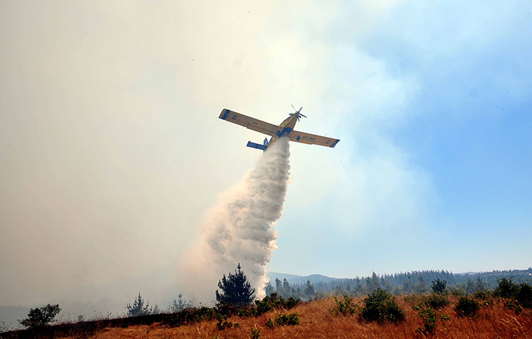 Chile forest fire: A plane drops water over the forest fire in Quillon
