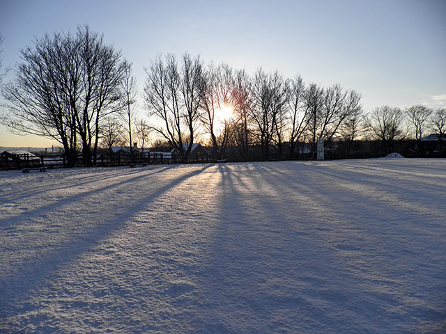 In pictures: Pure: Snowy landscape