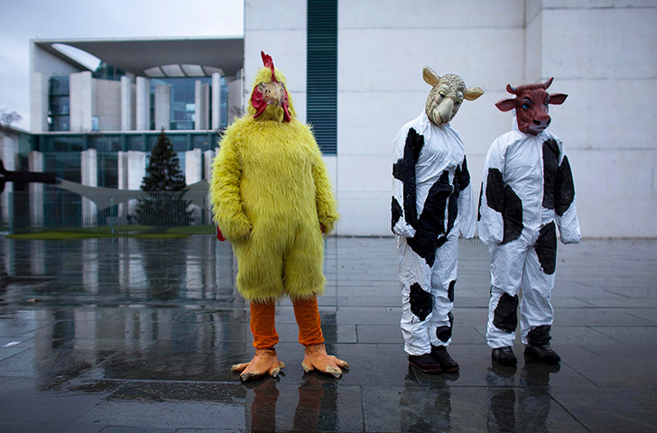 24 hours in pictures: Demonstrators dressed as a chicken, a sheep and a cow in Berlin