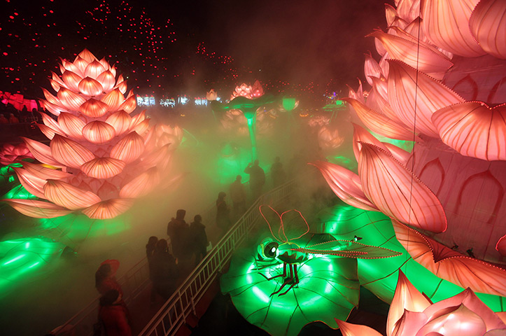 24 hours in pictures: Vistors lotus-themed lanterns and lights International Lantern Festival