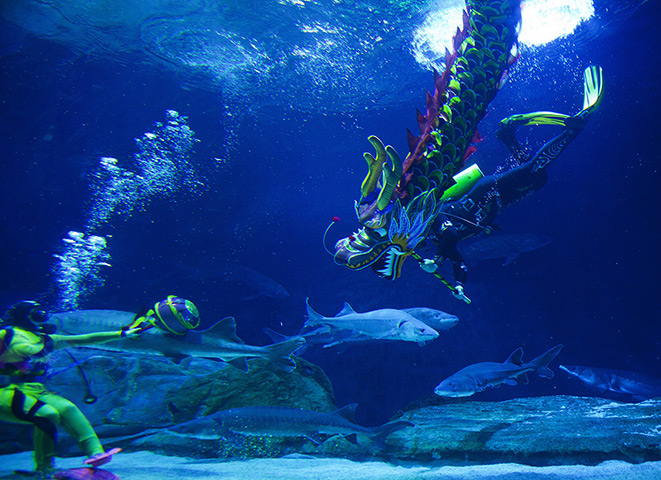 24 hours in pictures: People dressed as a chinese dragon, swim in water at the Beijing Aquarium