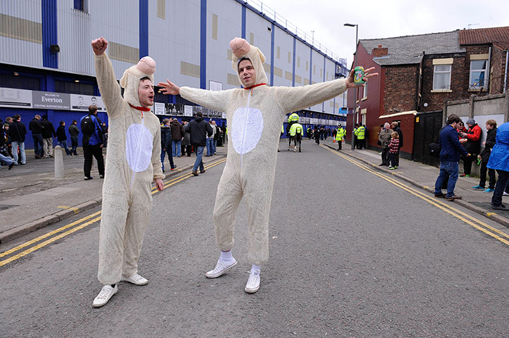 Everton v Tamworth: Tamworth fans dressed as lambs outside Goodison Park
