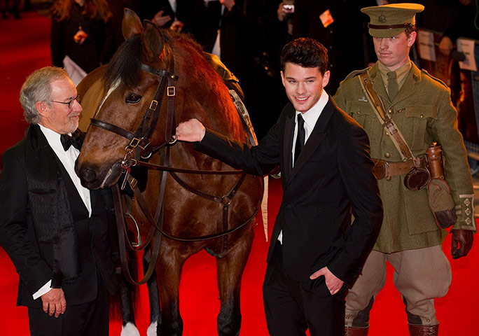 war horse uk premiere film guardian the war horse 684x480