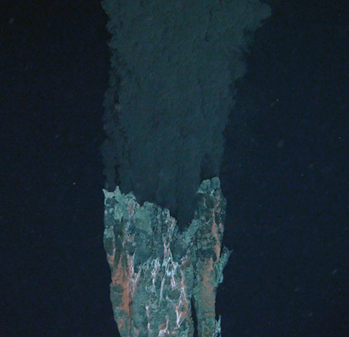 Deep-Sea Vents: in Cayman Trough area exploration brings to light new species