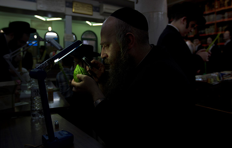 24 hours: Jerusalem: An Ultra Orthodox Jewish man checks an etrog
