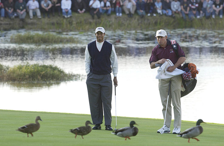 Tiger Woods Ryder History: 2002 Ryder Cup