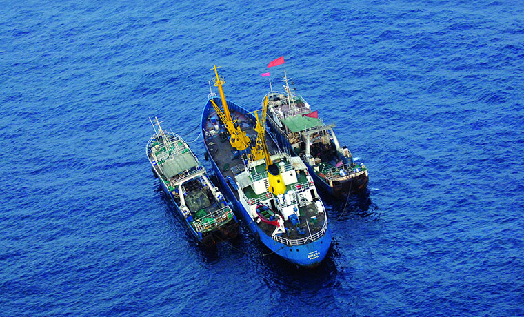 EJF: report on illegal fishing in Sierra leone