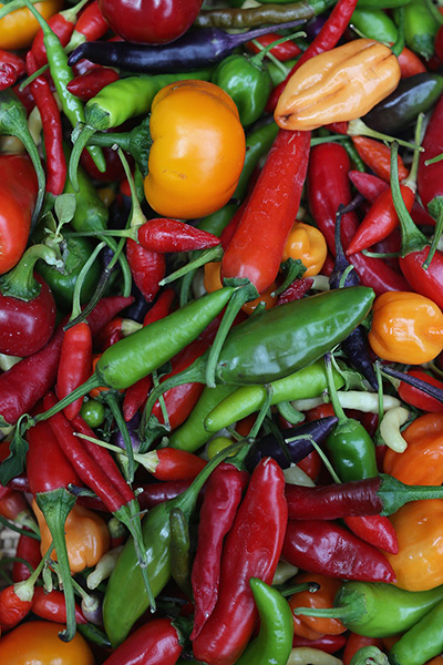 Harvest festival: A basket of chilies on display