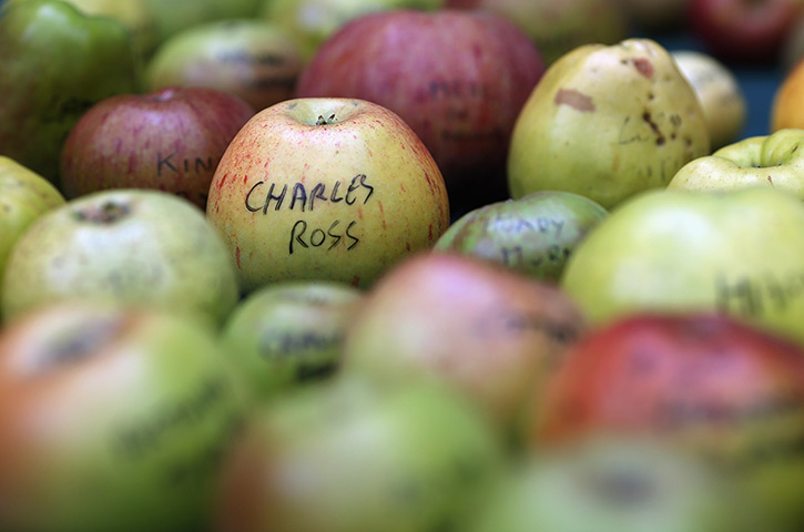 Harvest festival: A selection of some of the many varieties of British apples are displayed
